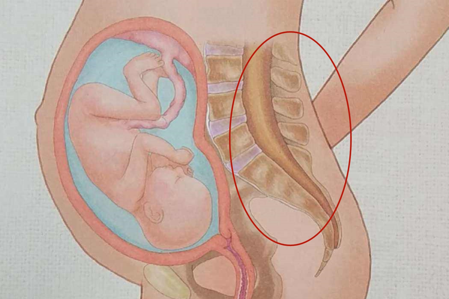 应采儿谈二胎原因,应采儿腰痛到哭