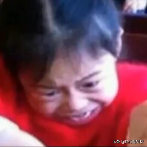 仓鼠和猫打架花了2000,和猫打架住院的仓鼠