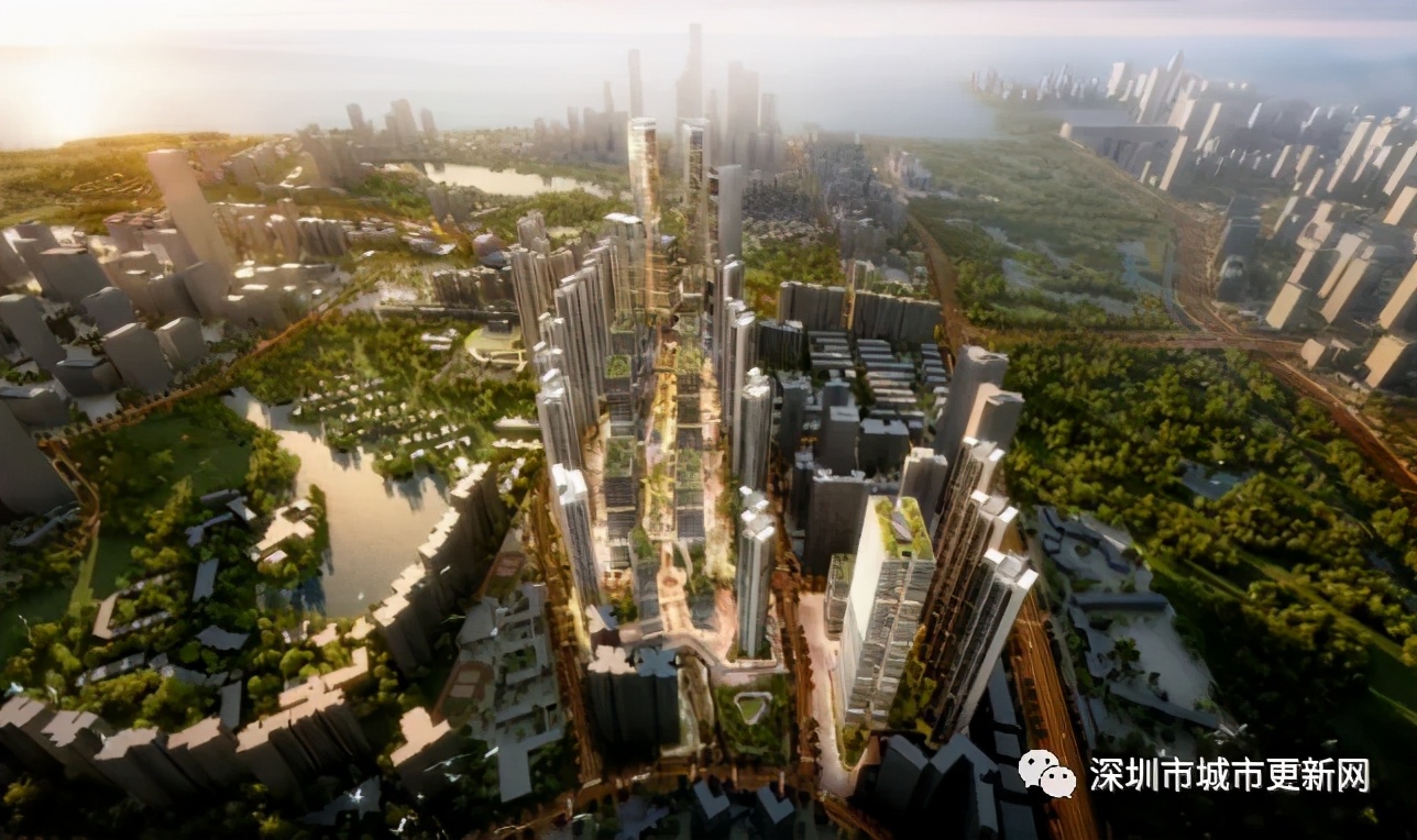 南山扩建最新消息,南山改造工程方案