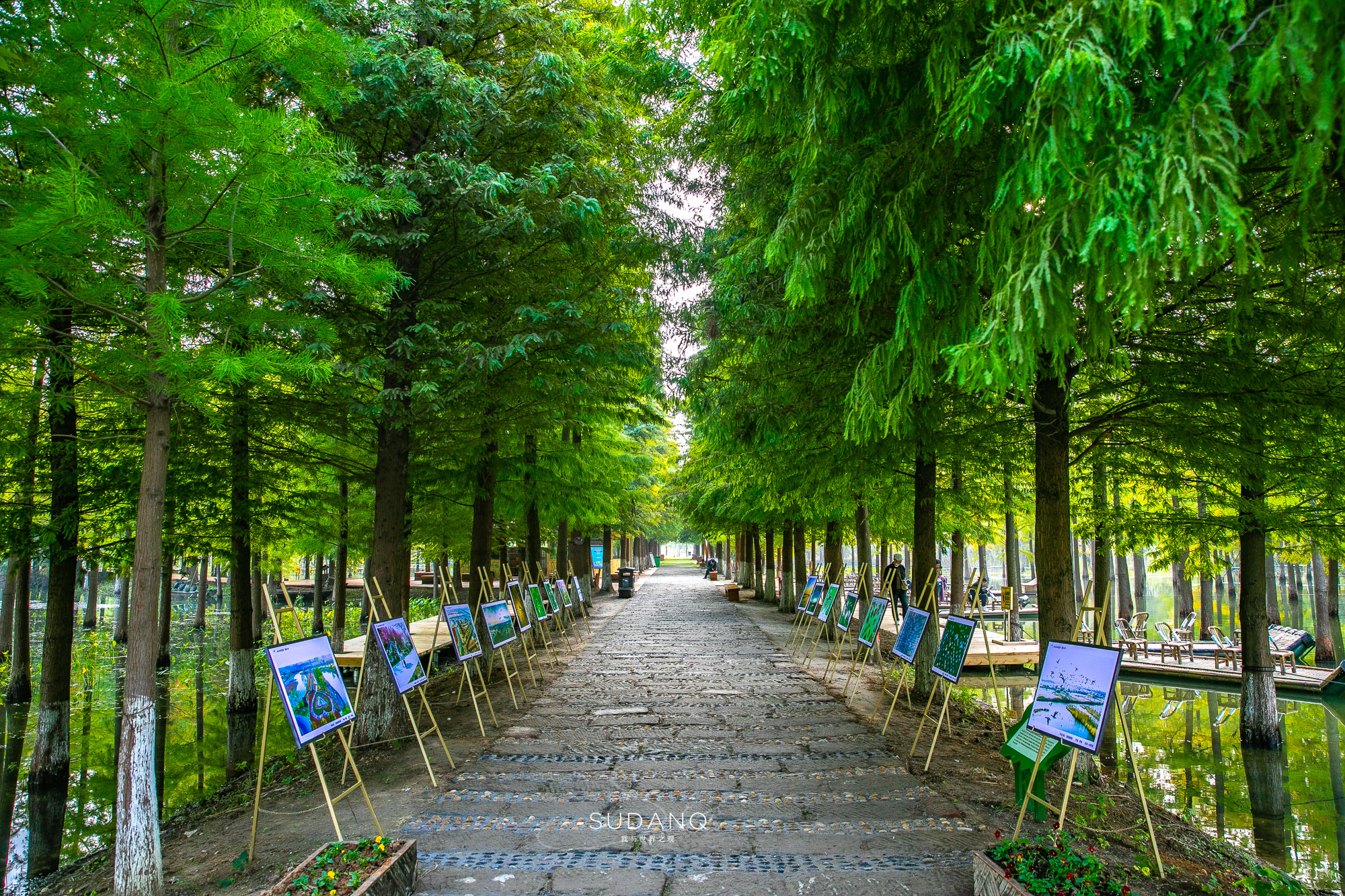 江苏泗洪的风景,江苏的苏南和苏北有什么区别
