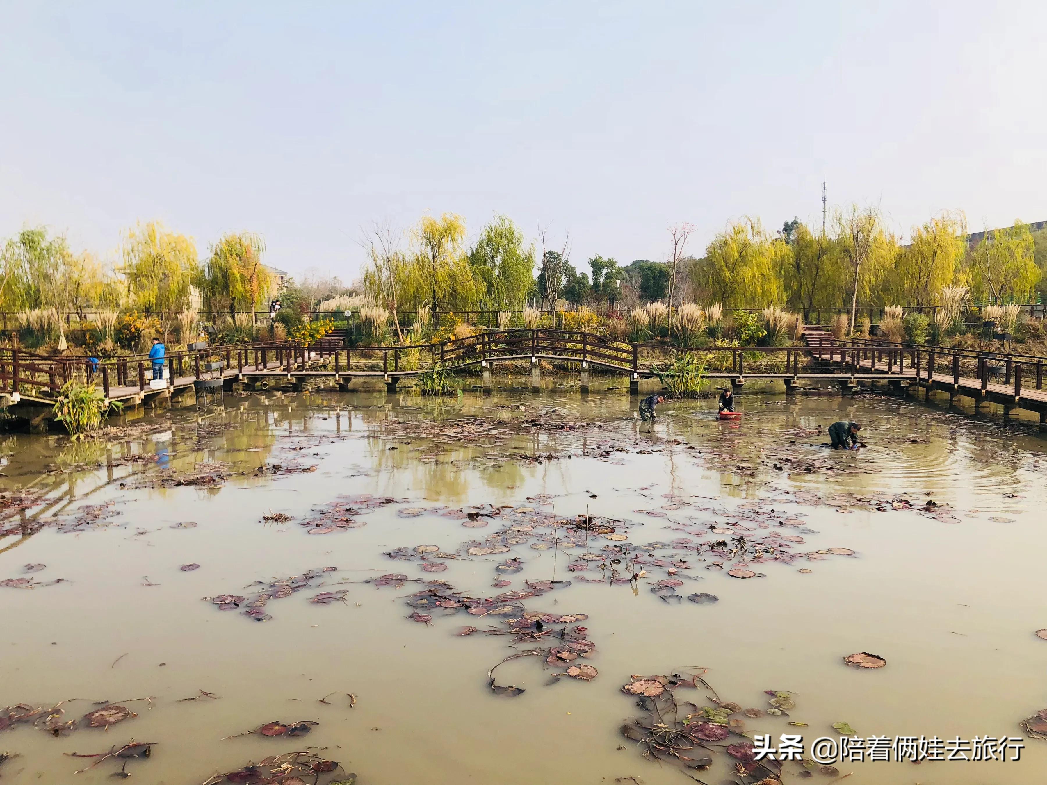 上海浦江郊野公园一日游攻略大全,上海浦江郊野公园奇迹花园地图
