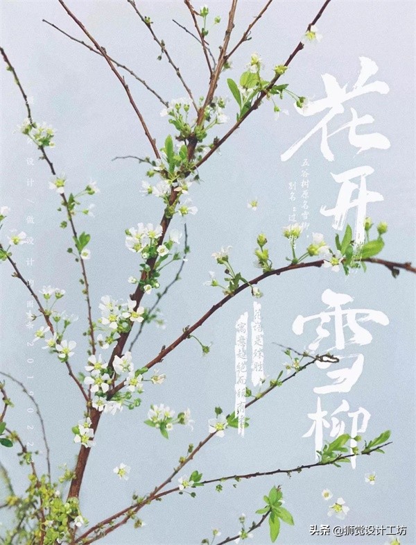 一张照片就能做出一幅海报,随手一拍怎么拍成大片