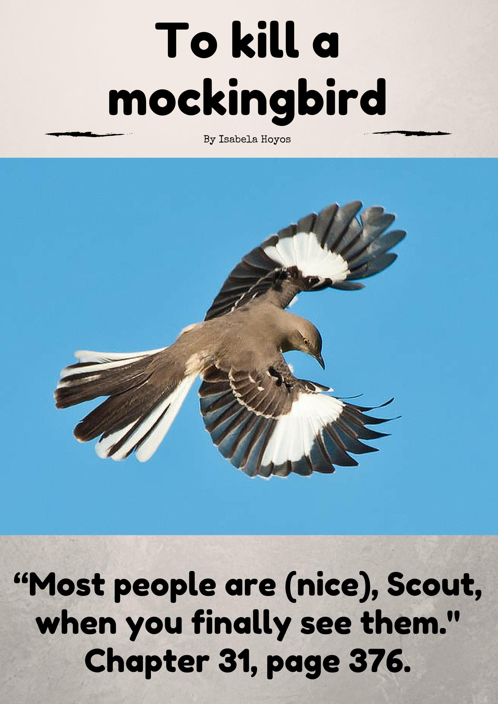 杀死一只知更鸟阿迪克斯语录,杀死一只知更鸟阿迪克斯陈述