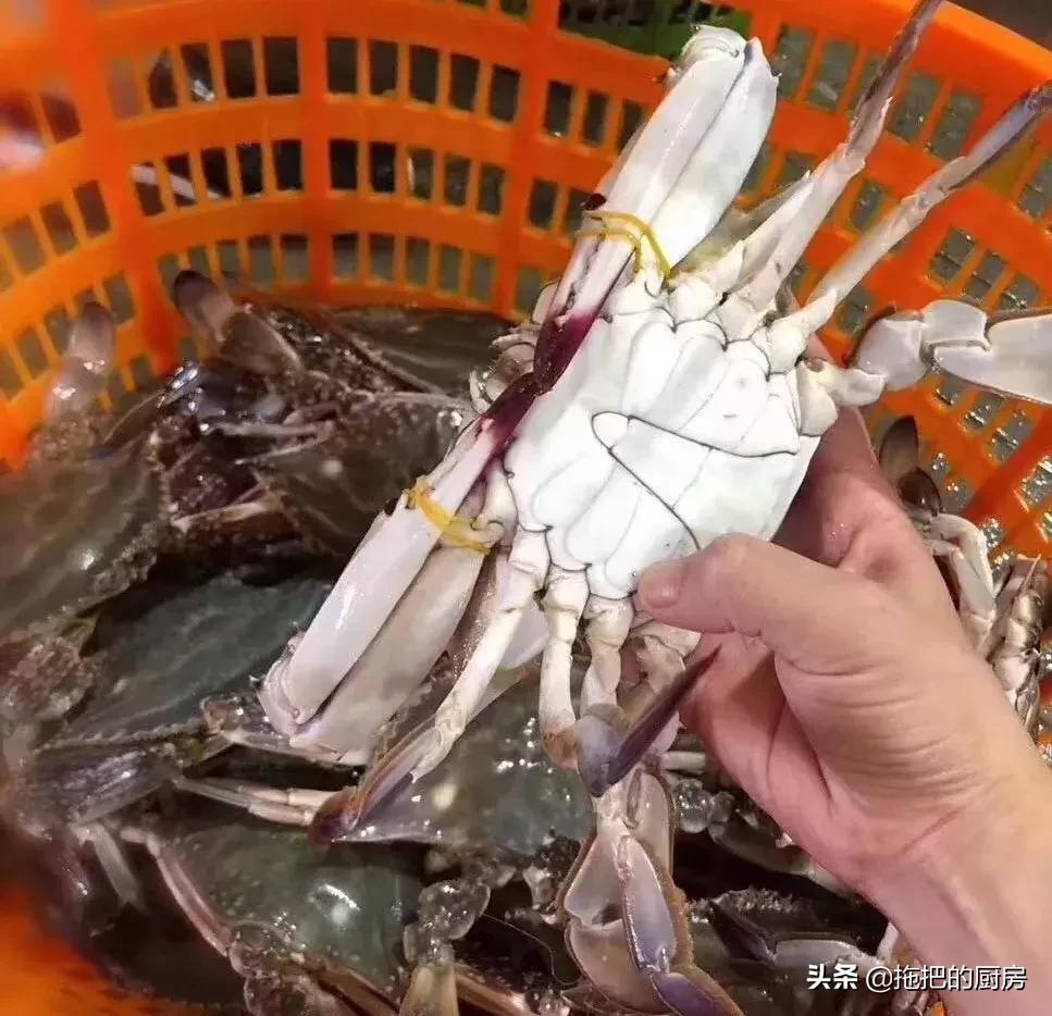 梭子蟹价格20元一斤购买,今年梭子蟹6-8两多少钱一斤