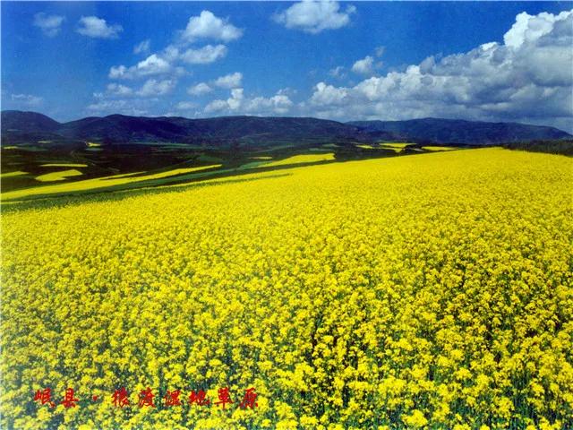 探丝路,探丝路之旅