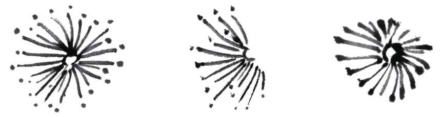 怎么画梅花和梅花树,写意画梅花的画法视频