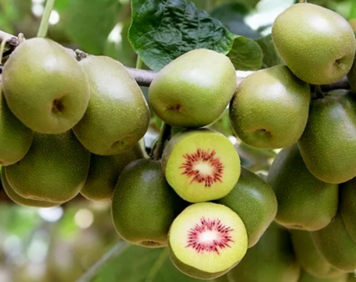许昌八里沟跟团一日游,许昌五一八里沟一日游