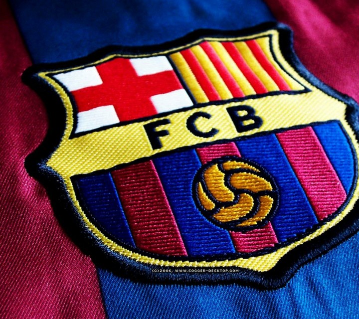 30支篮球队球标,各足球队队徽图片