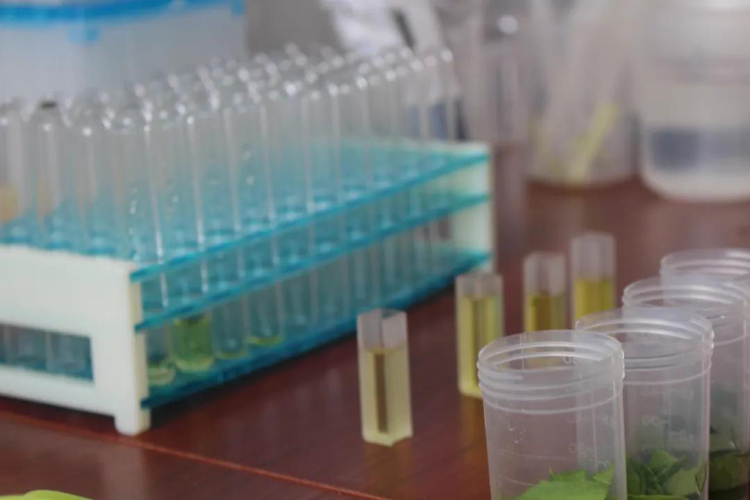 神兽归笼食品安全,神兽归笼请做好孩子的守护神