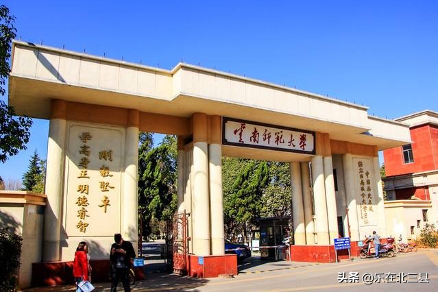 2020年云南省最好大学排名,仅有的1所双一流高校排名第2位