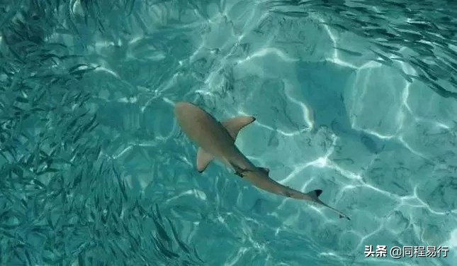 马来西亚兰卡威旅游攻略,兰卡威旅游感受