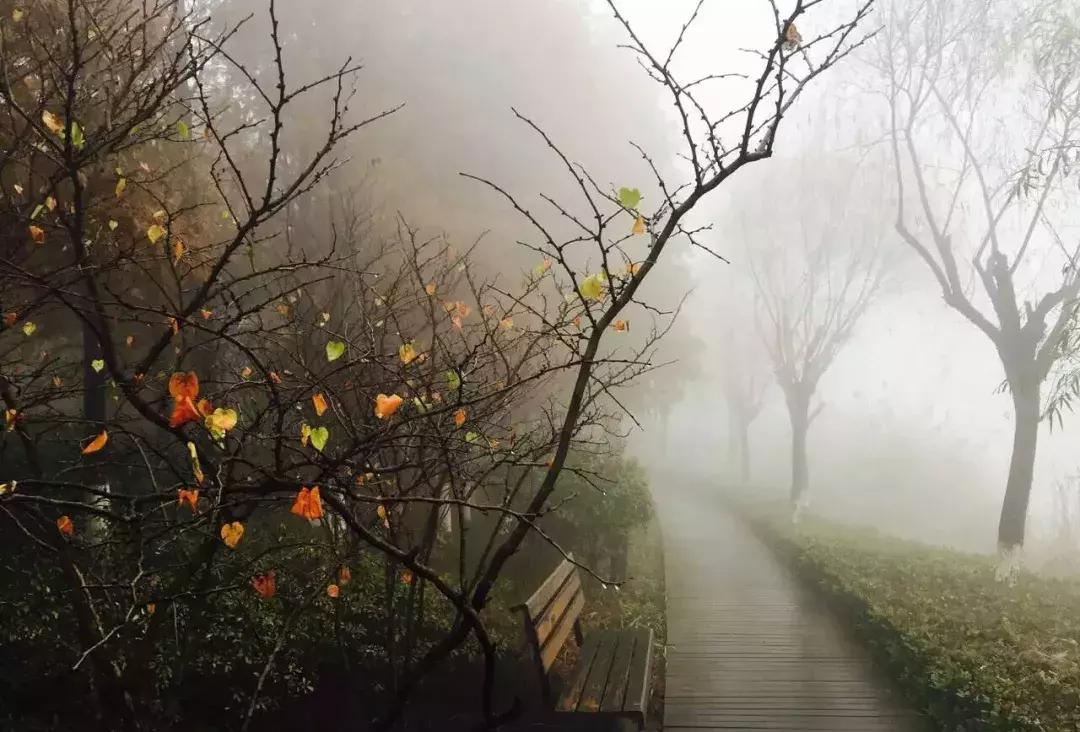 对不起我要去钟祥了图片,对不起我要去忙了日语