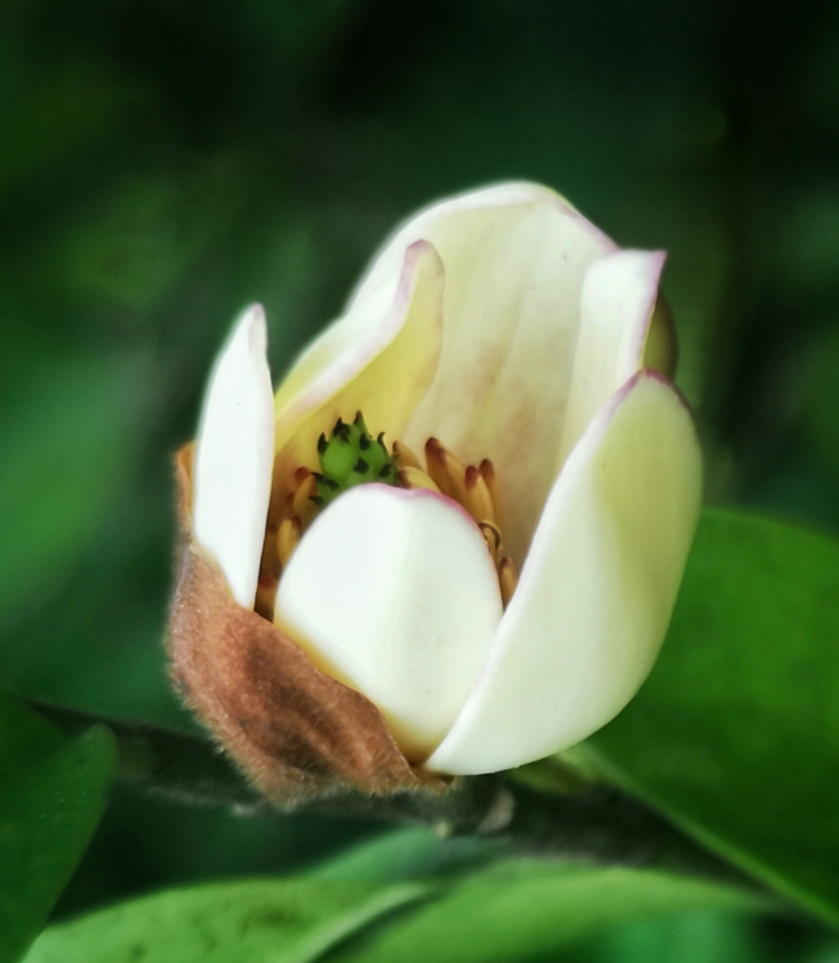 寻找身边的美丽身影,寻找身边美丽景色