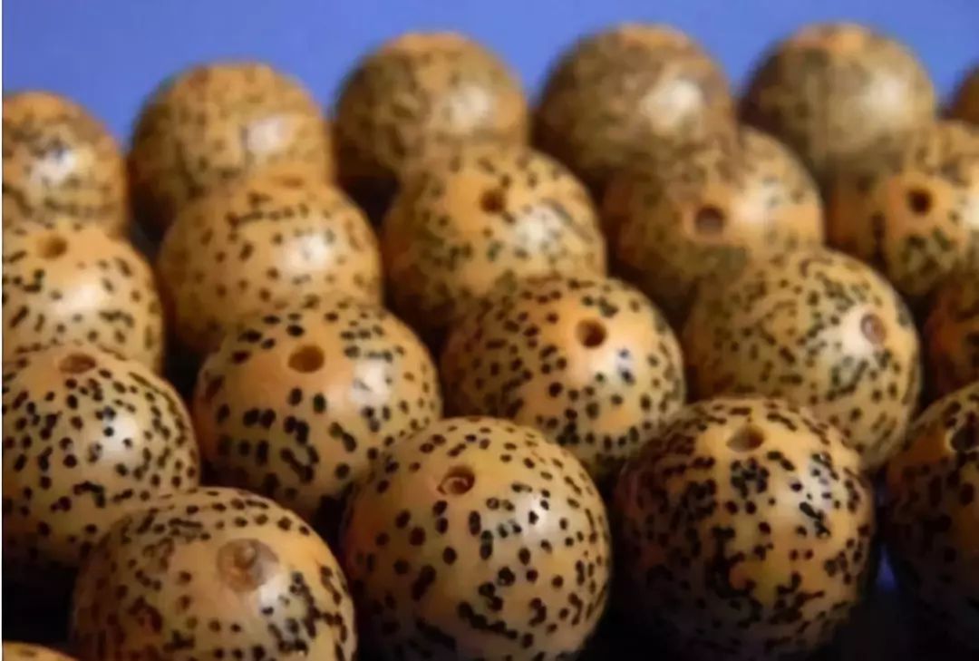 菩提手串大全图解,菩提手串的种类图解