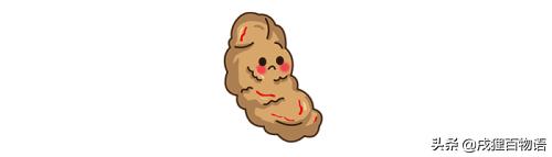 猫咪调理肠胃的药,如何正确调理猫咪肠胃