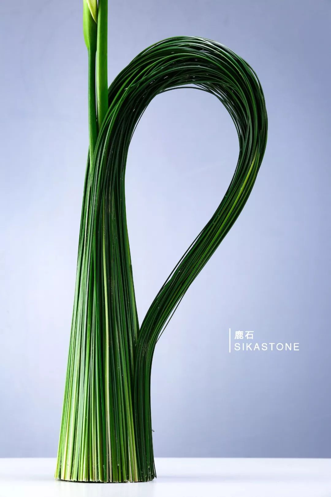 了不起的发明主题目标,了不起的发明主题环创