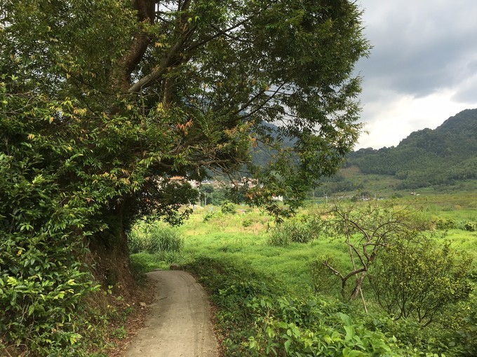 从化溪头自驾游视频,从化溪头村一日游路线