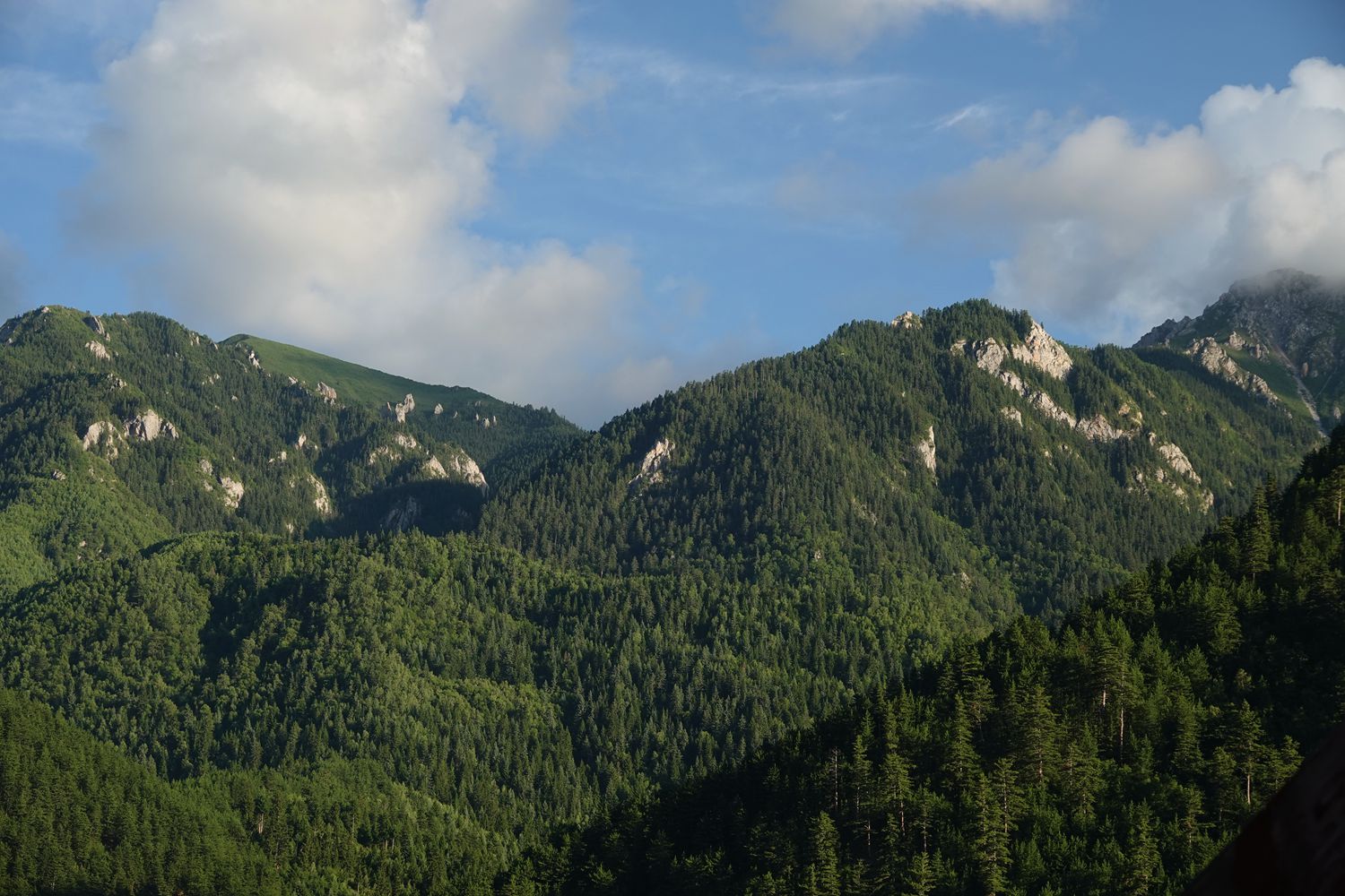 迭部:一脉相连的亲戚,因扎尕那而相聚