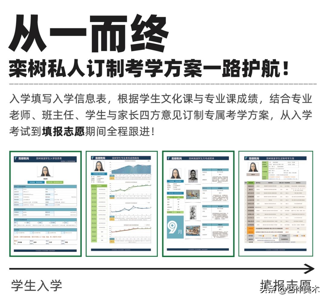 栾树画室官网,栾树画室怎么样