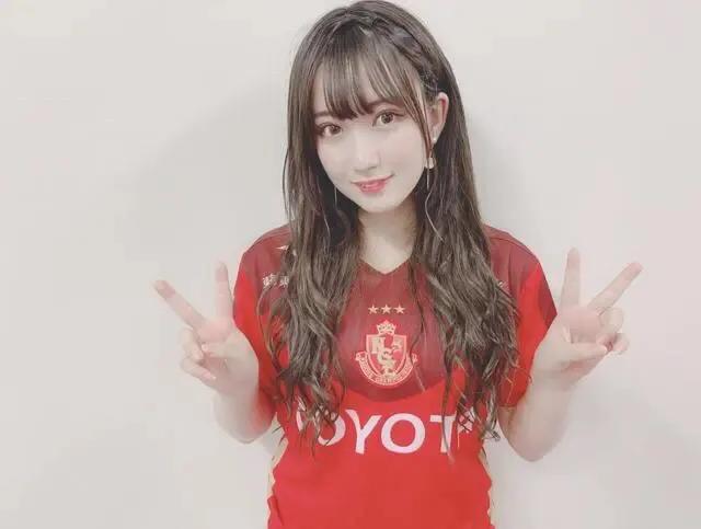 日本j联赛球队名字,日本足球j联赛成绩及排名