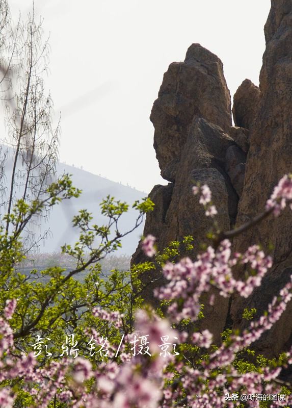 平邑县铜石镇丹山图片,铜石镇丹山