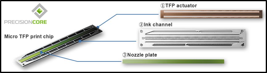 有一种固执叫做死心眼的句子,有一种死心叫失望