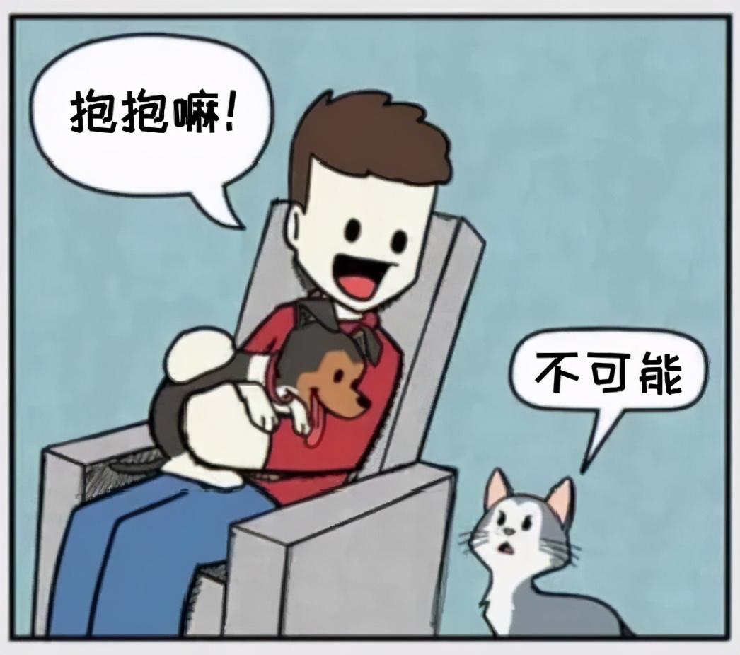 铲屎官和狗子的漫画,铲屎官和狗子们漫画