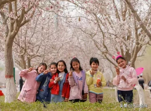 新疆的图木舒克市在什么位置,新疆的图木舒克是在北疆还是南疆