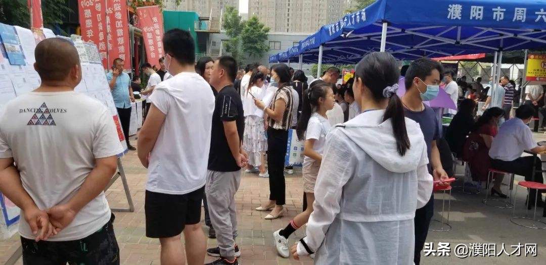 稳就业保就业网络直播招聘会,濮阳人才网最新信息