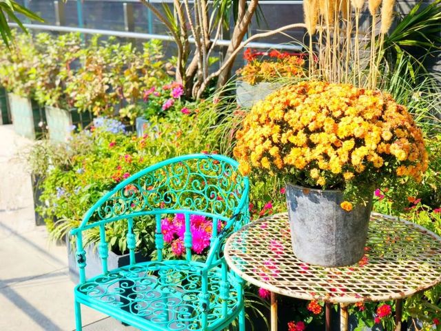 开年最有惊喜的餐厅,开年聚会餐厅