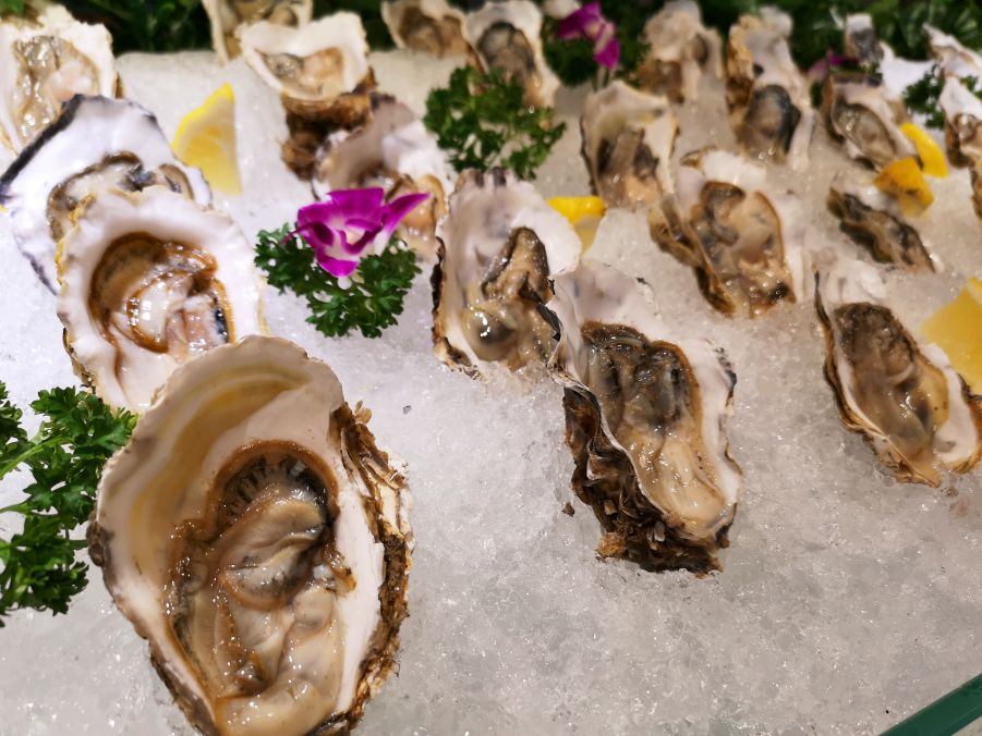 成都海鲜自助餐499元一个,成都生蚝吃到饱自助餐