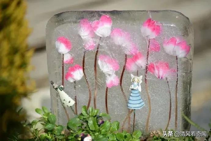 冻冰花美篇,冻冰花的美篇