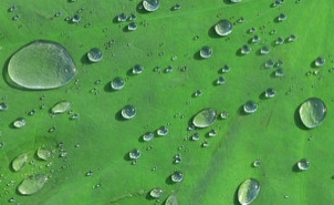 空翠湿人衣前一句,空翠湿人衣分析