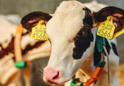 宝宝便秘消化不良吃什么中药调理,宝宝消化不良便秘最好的解决方法