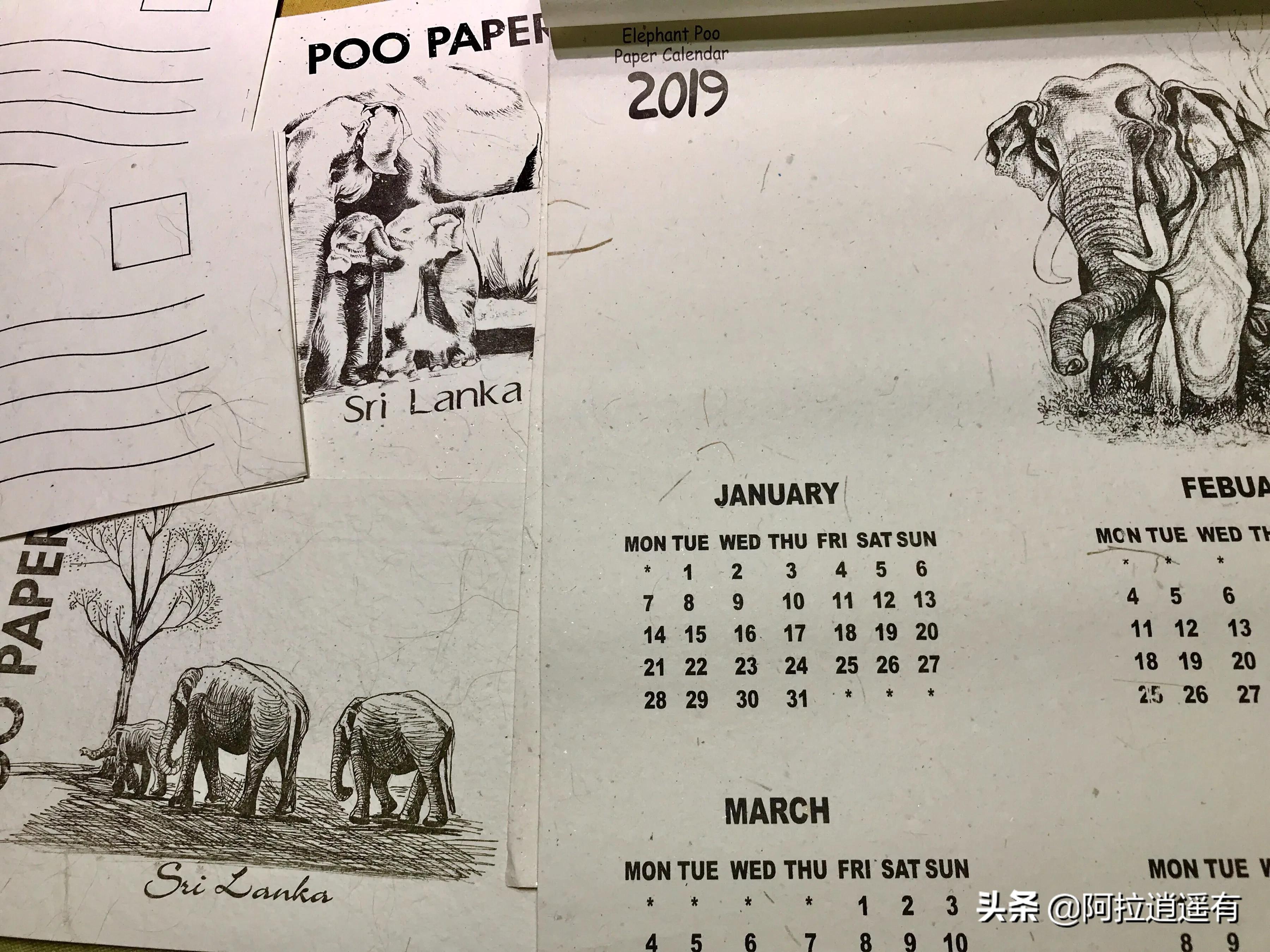 斯里兰卡大象粪便做纸,斯里兰卡大象粪便纸