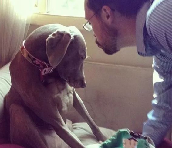 安检行李箱有只猫,网友在机场安检发现行李箱里的猫