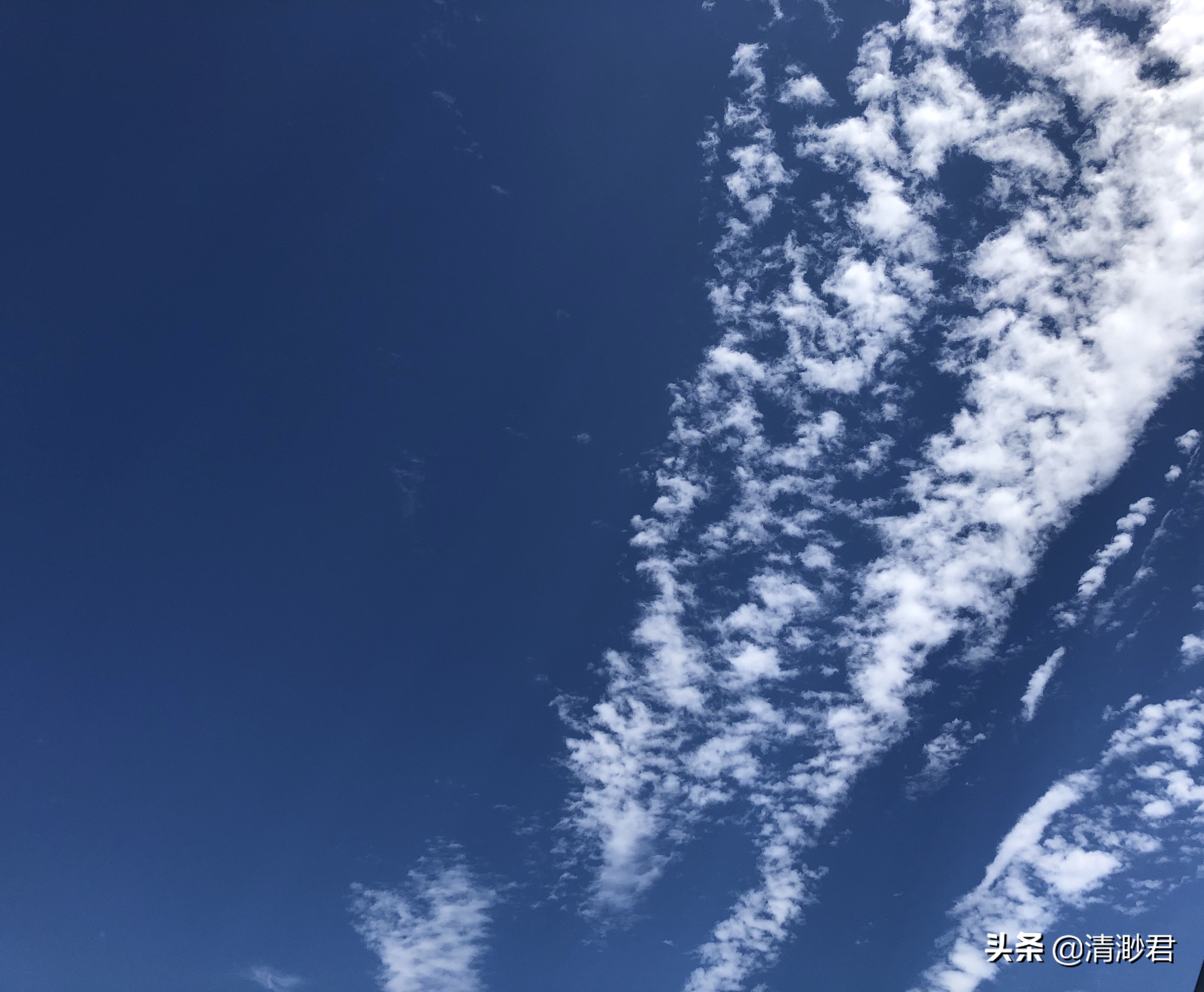 冬季菜谱减脂早餐,健康减脂刮油的早餐食谱