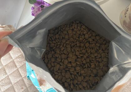 纽顿狗粮全面测评，到底怎么样？