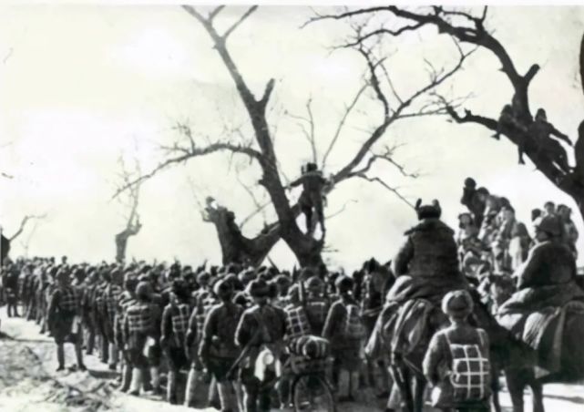 第四*战野**军的整体实力，比其他*战野**军都强，为何番号却排在最后？