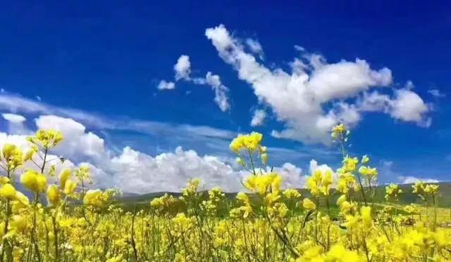 2018民谣歌曲大全100首,2018经典民谣推荐