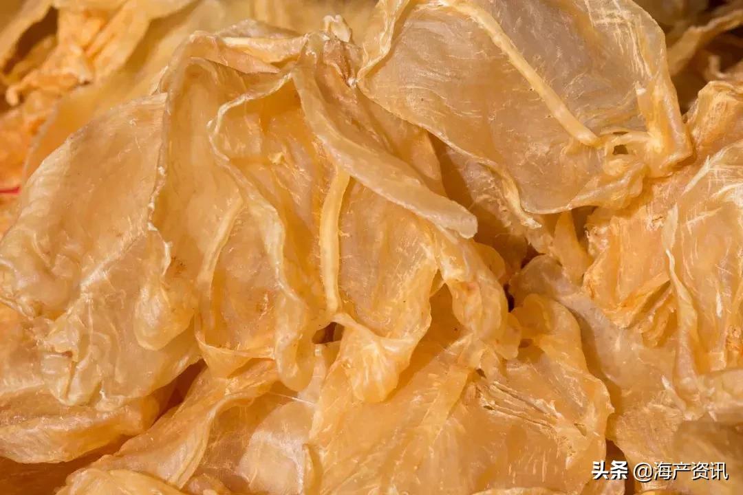 怎么区别花胶公母有教程,花胶公母区别方法图解