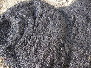 活性污泥的培养和驯化葡萄糖用量,污水处理活性污泥培养不起来