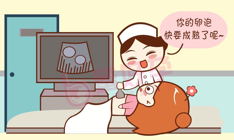 知道排卵期，该如何安排啪啪啪？