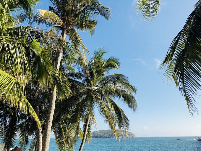 三亚旅游攻略自由行游记,三亚自由行超全干货旅游攻略