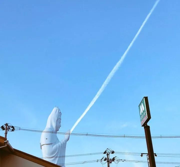 巨大压迫感的神秘生物,日本巨大神秘生物