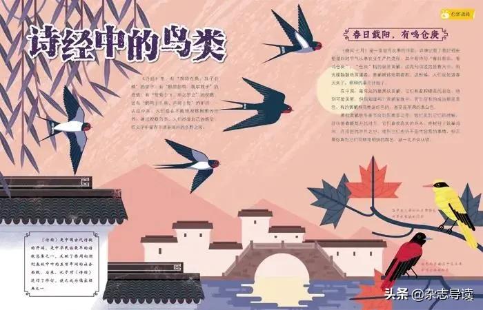 孩子必读的科普读物,哪些适合小学生看的科普杂志