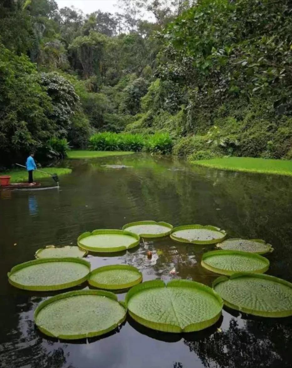 让脚丫干燥的办法,怎么保持脚丫干爽