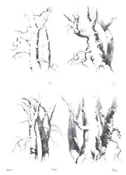风景速写1000例临摹图高清,炭笔速写风景初学者图片教程