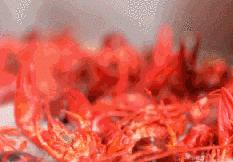 合肥龙虾馆配方大全,龙虾店的龙虾做法