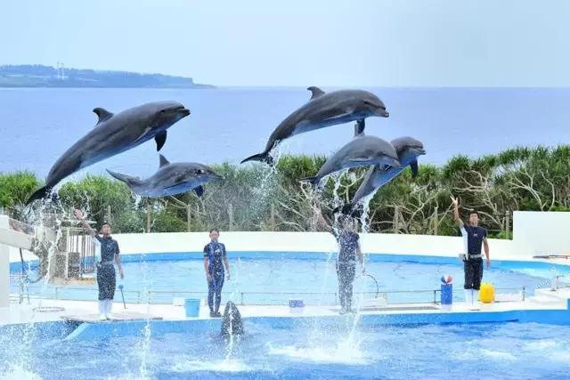 春回大地山清水秀,春回大地感受春的气息